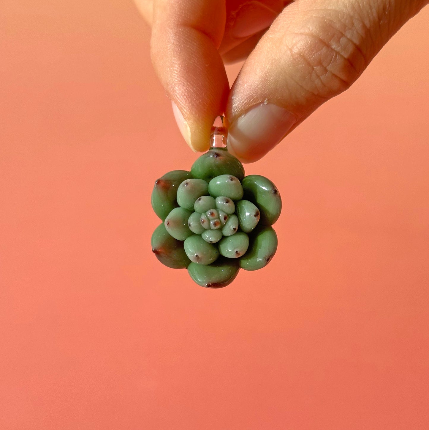 Red-tipped Echeveria Succulent Pendant