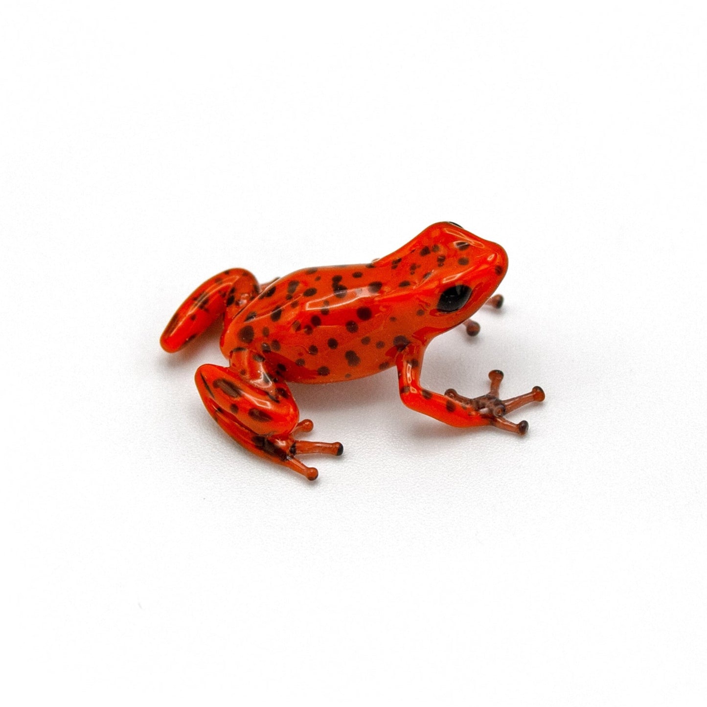 Red Poison Dart Frog