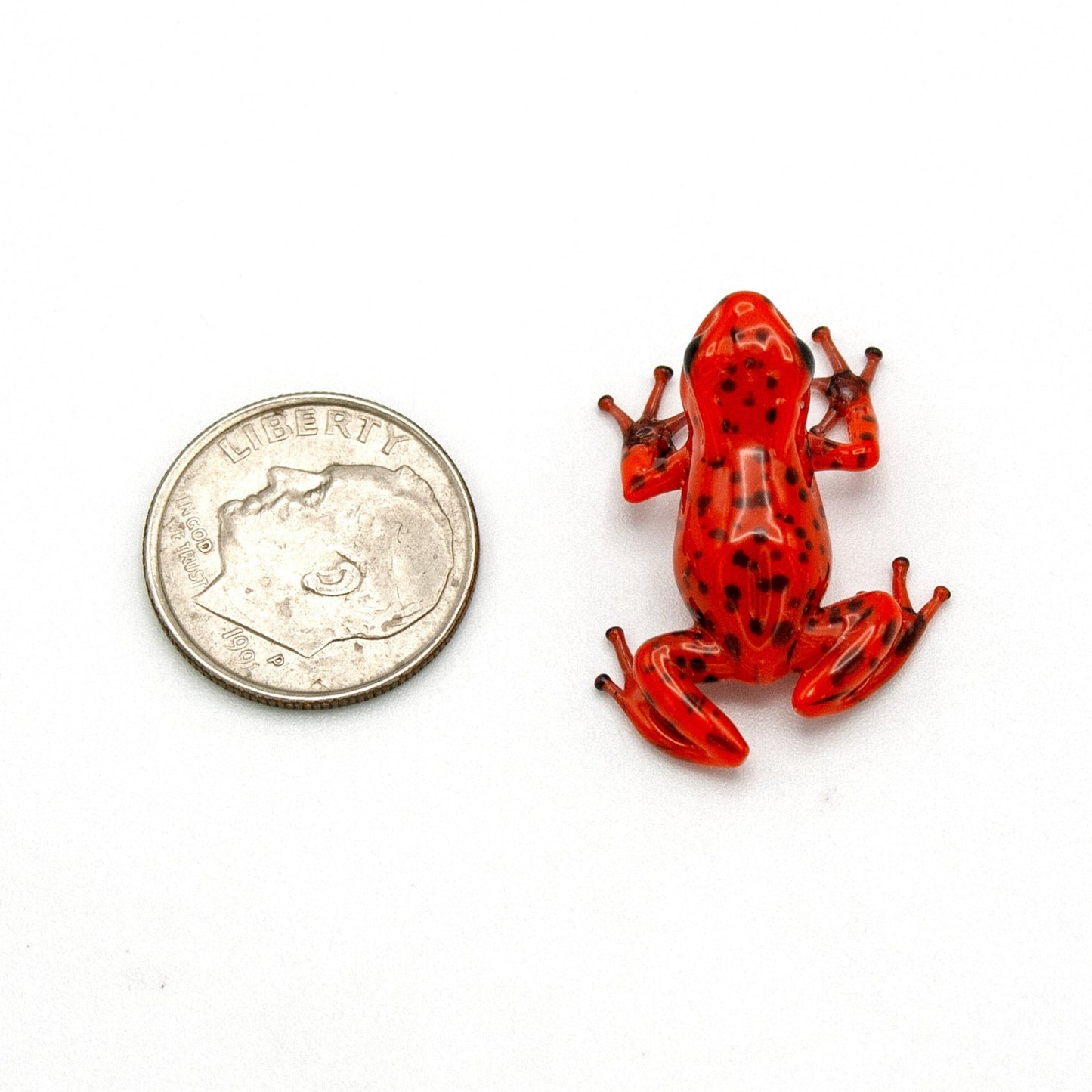 Red Poison Dart Frog