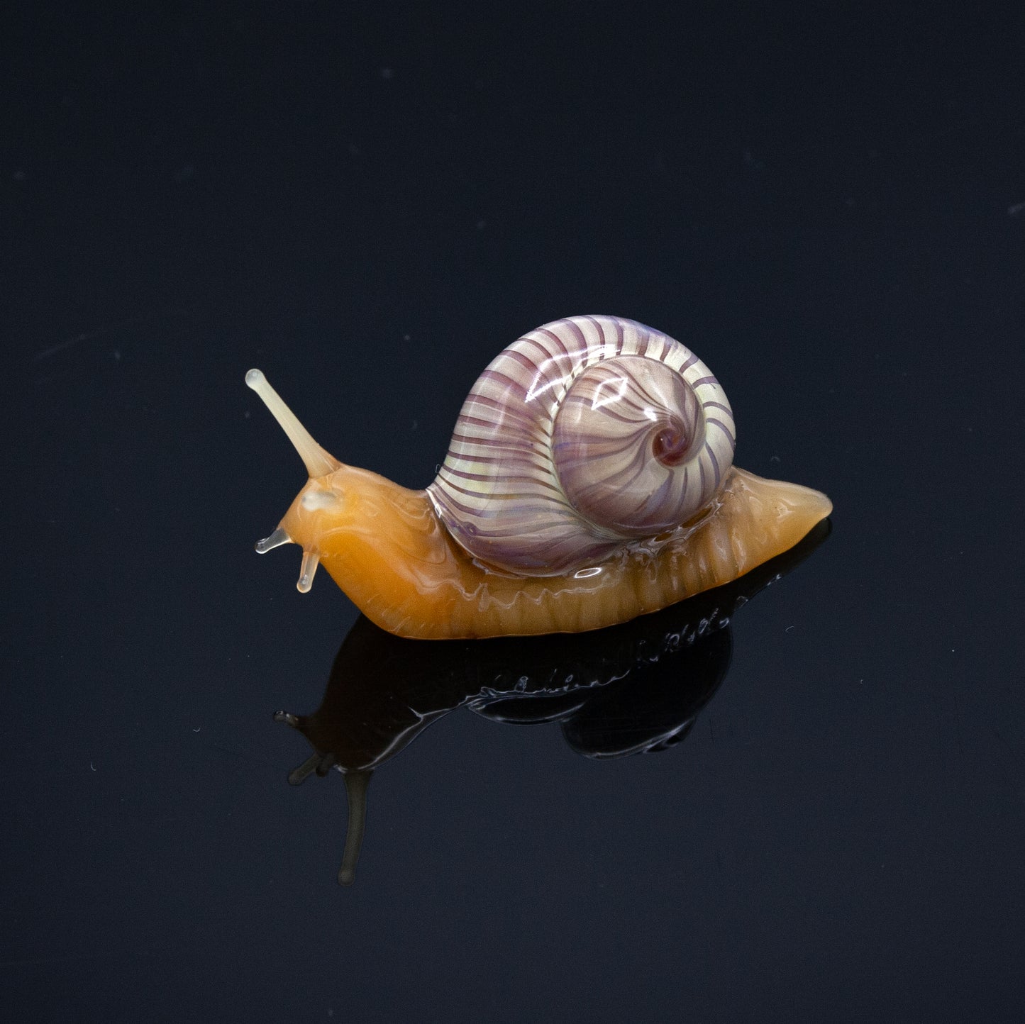 Snails