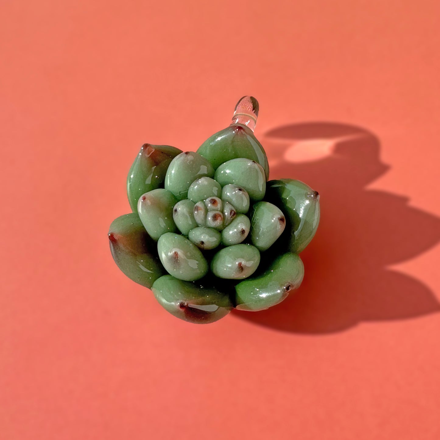 Red-tipped Echeveria Succulent Pendant