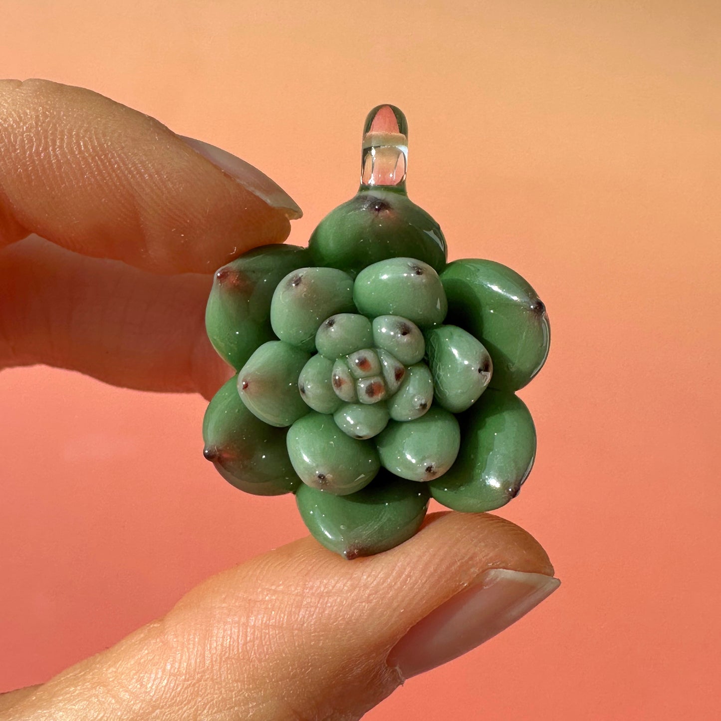 Red-tipped Echeveria Succulent Pendant