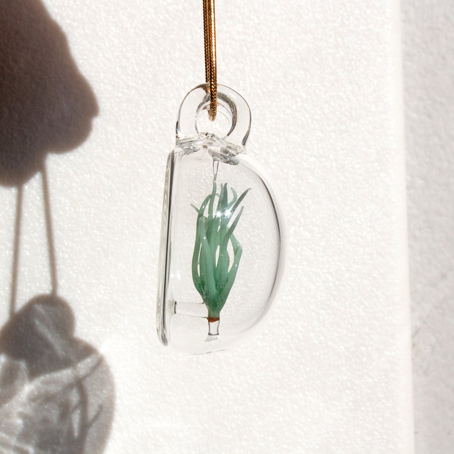 Air Plant Pendant