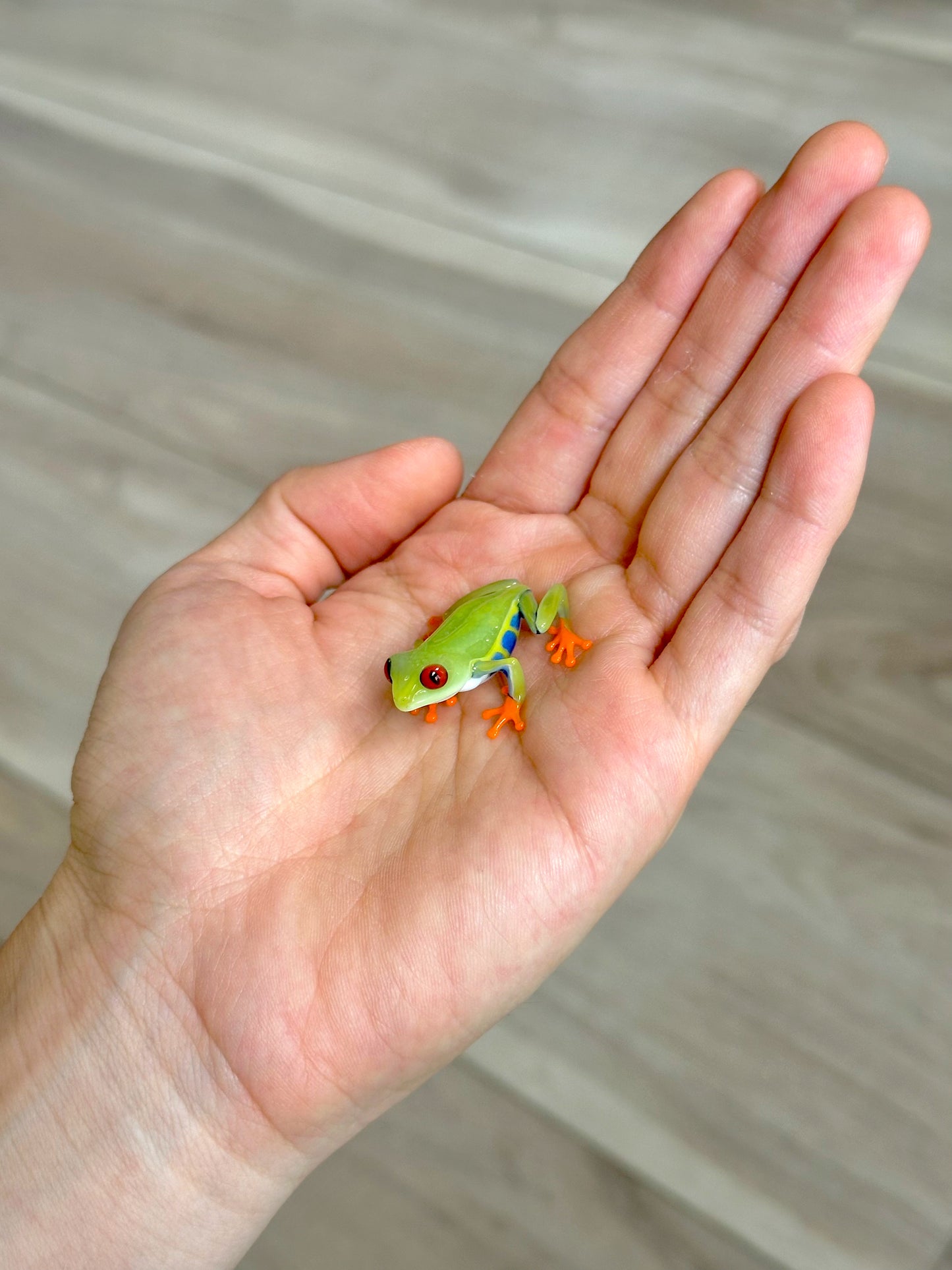 Red-Eyed Tree Frog