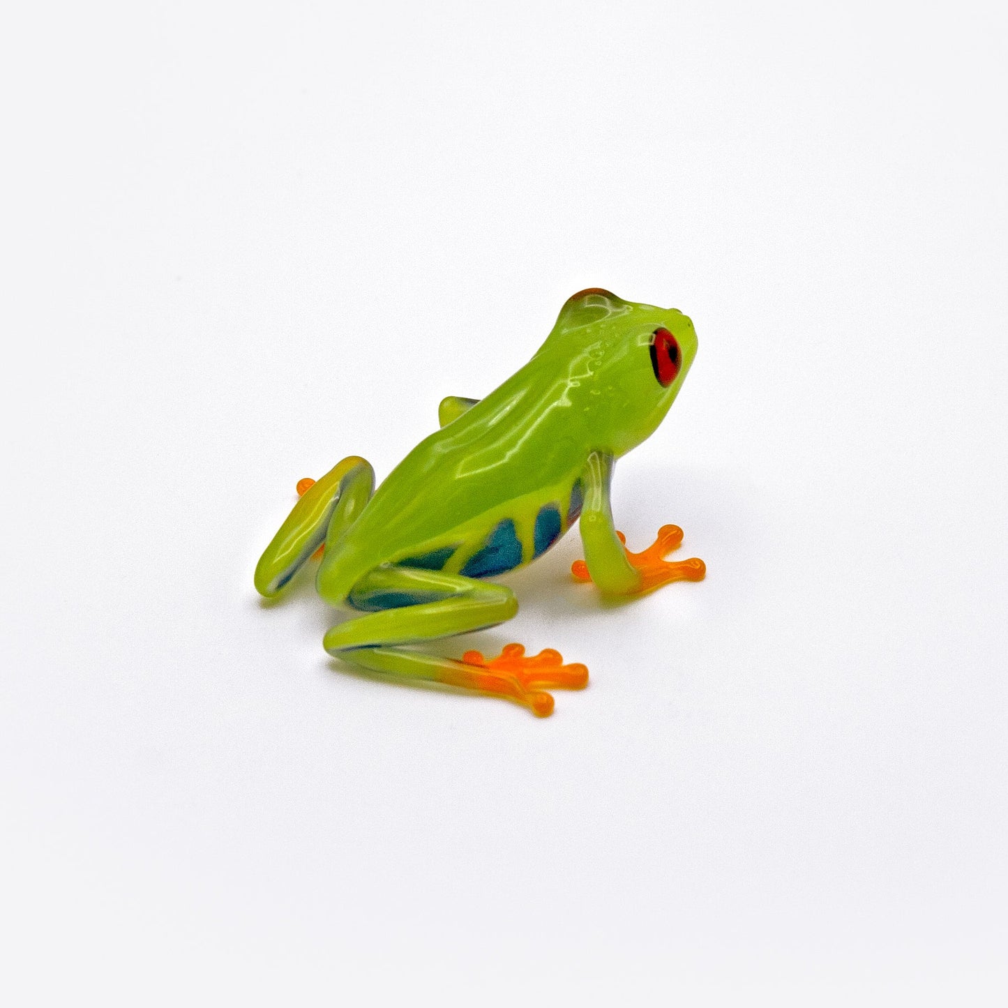 Red-Eyed Tree Frog