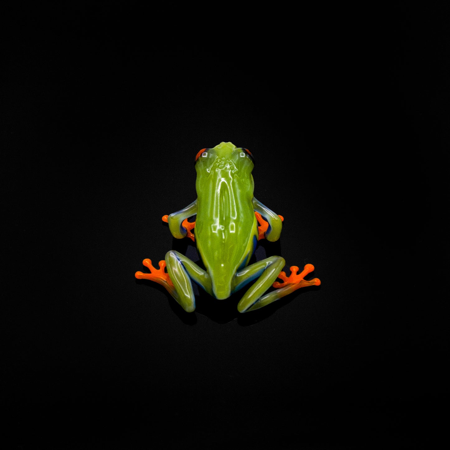Red-Eyed Tree Frog