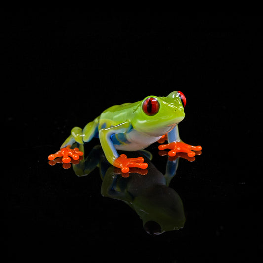 Red-Eyed Tree Frog
