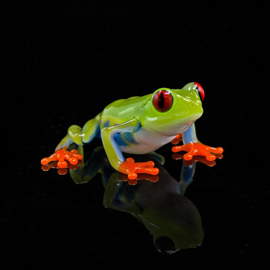 Red-Eyed Tree Frog