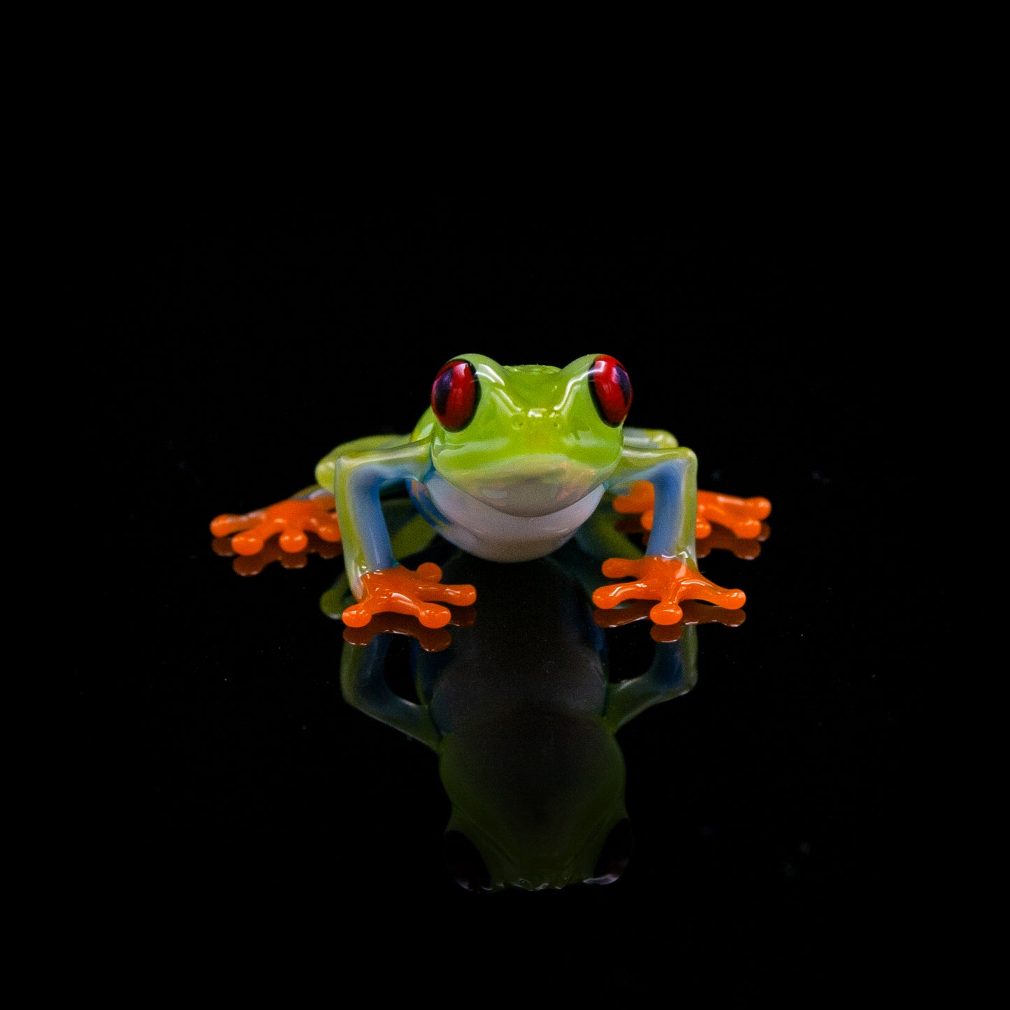 Red-Eyed Tree Frog
