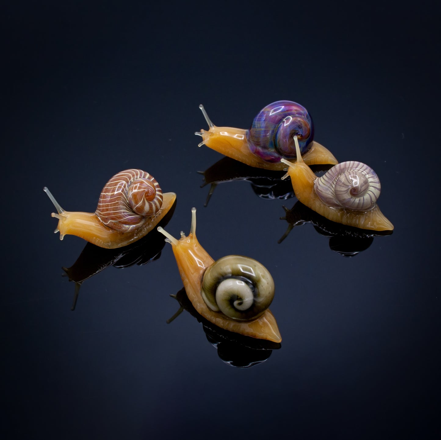 Snails