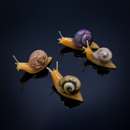 Snails