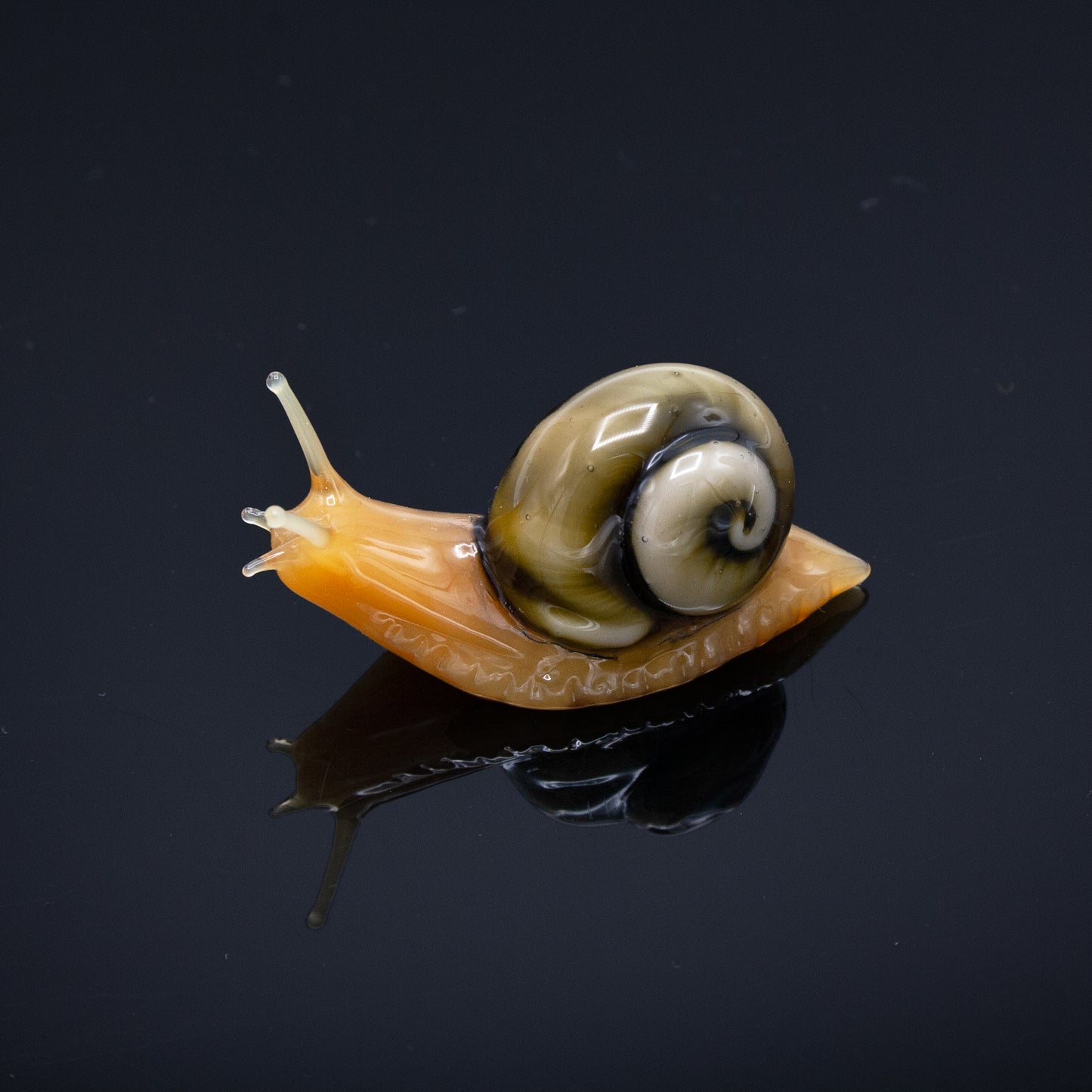 Snails