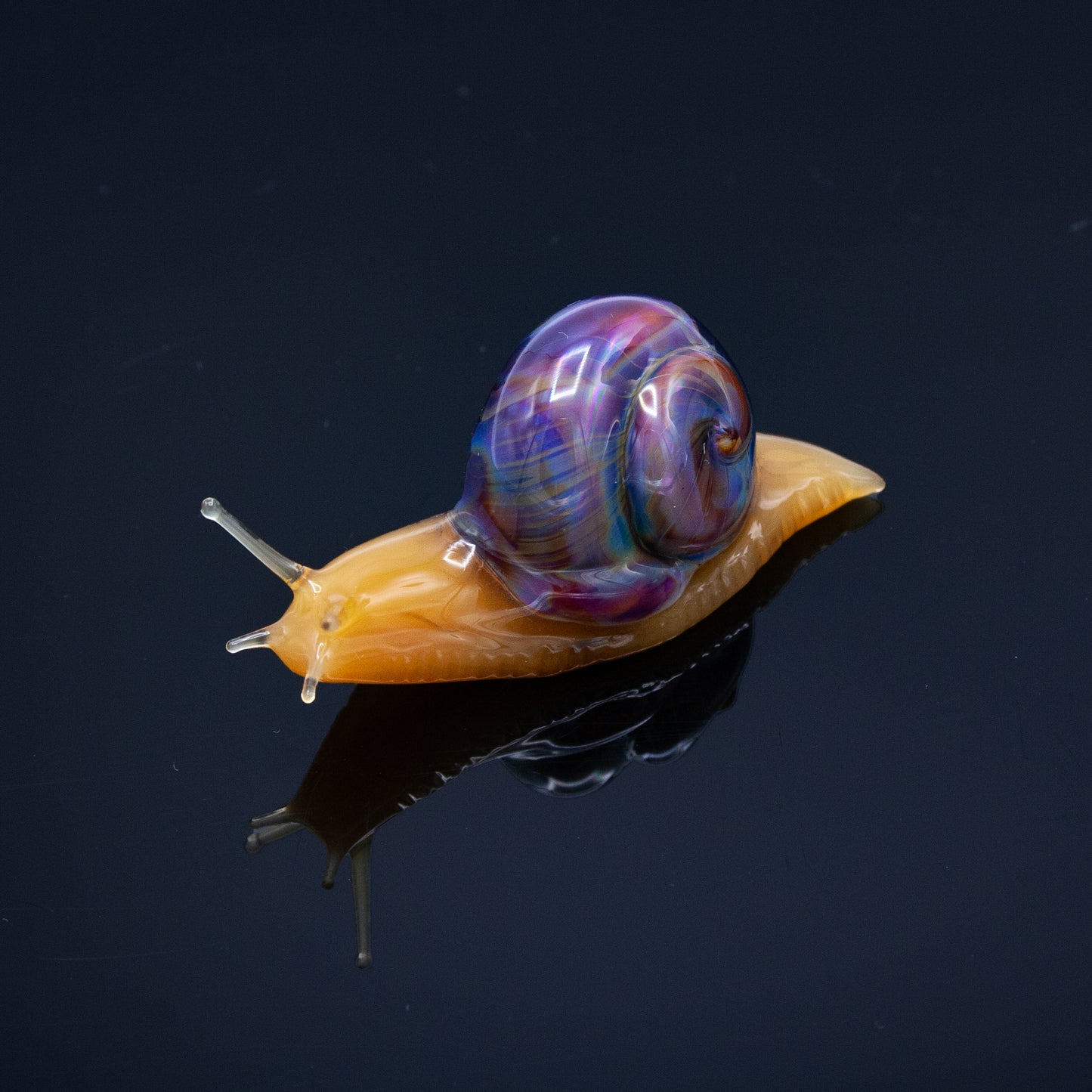 Snails