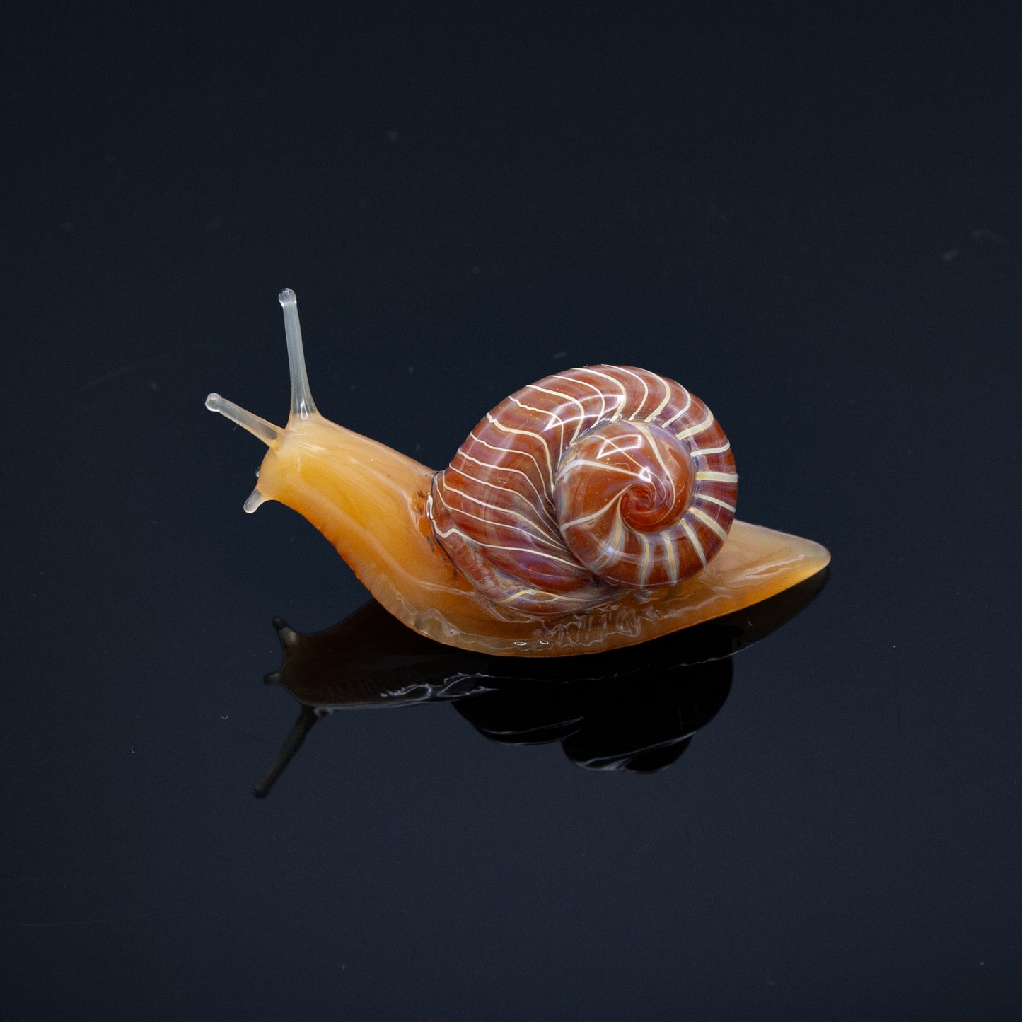 Snails