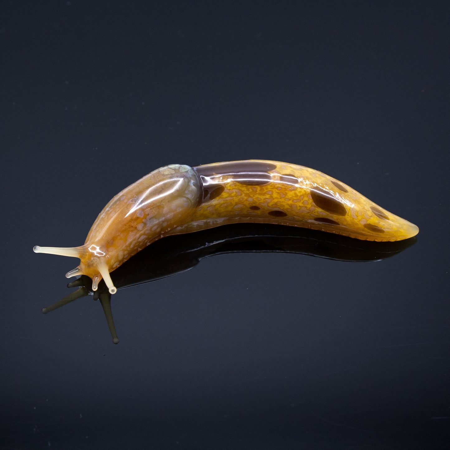 Banana Slugs