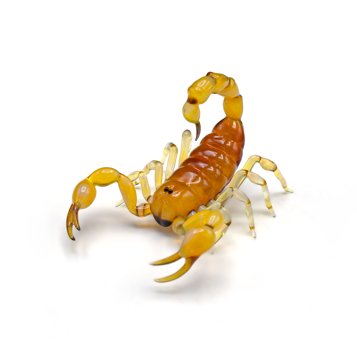 Yellow Scorpion