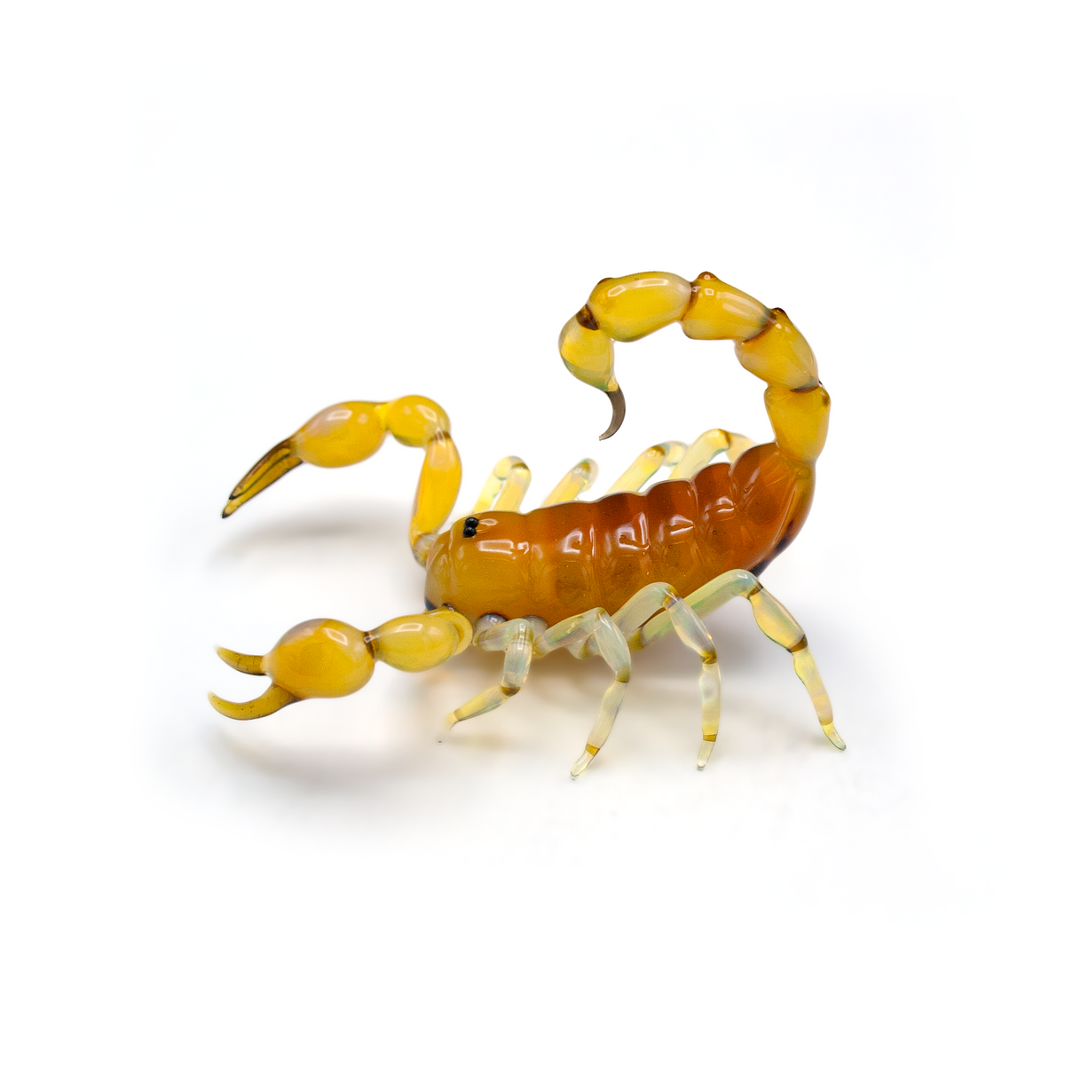 Yellow Scorpion