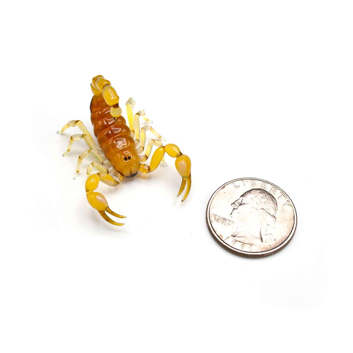 Yellow Scorpion