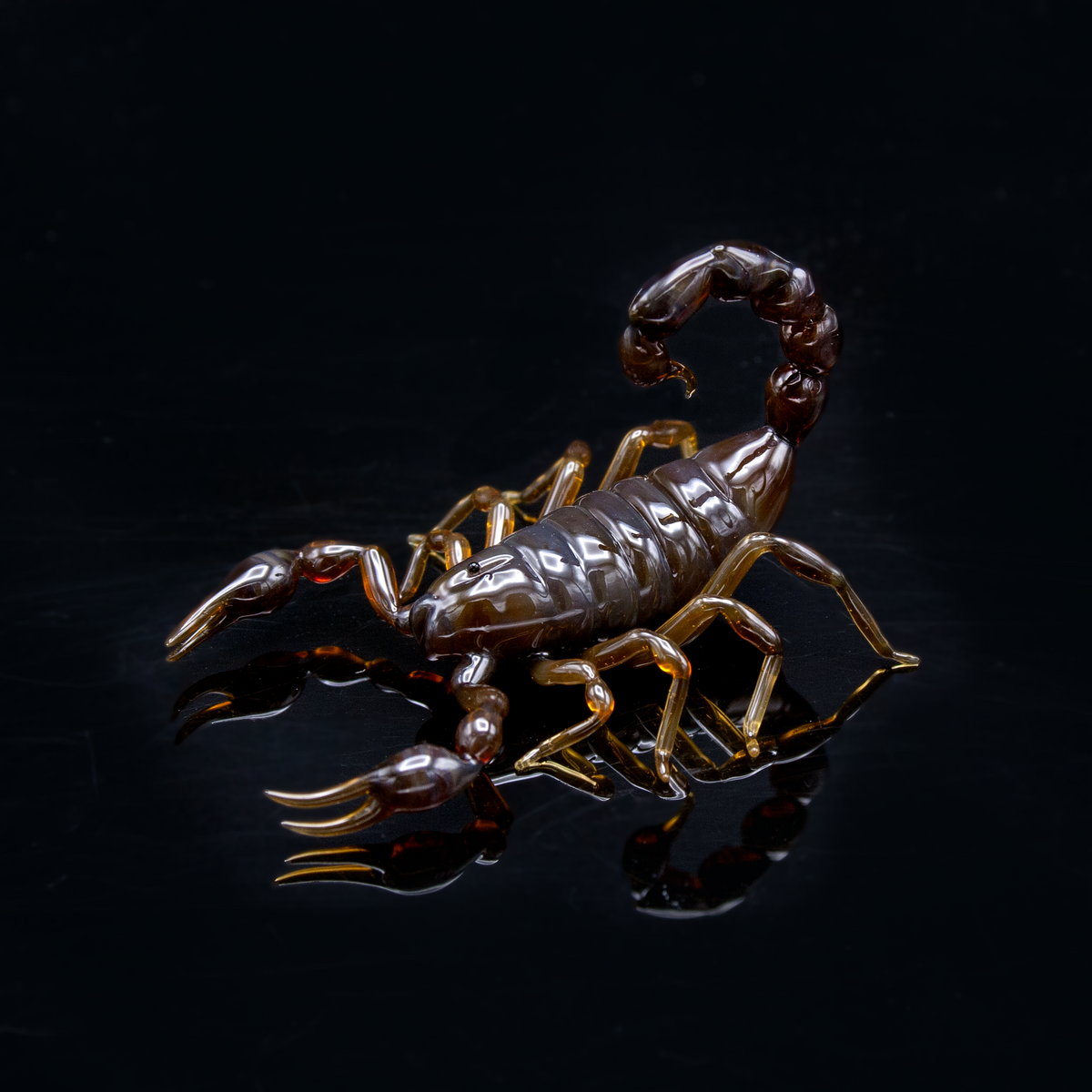 Brown Scorpion