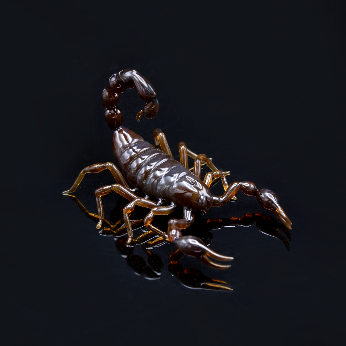 Brown Scorpion