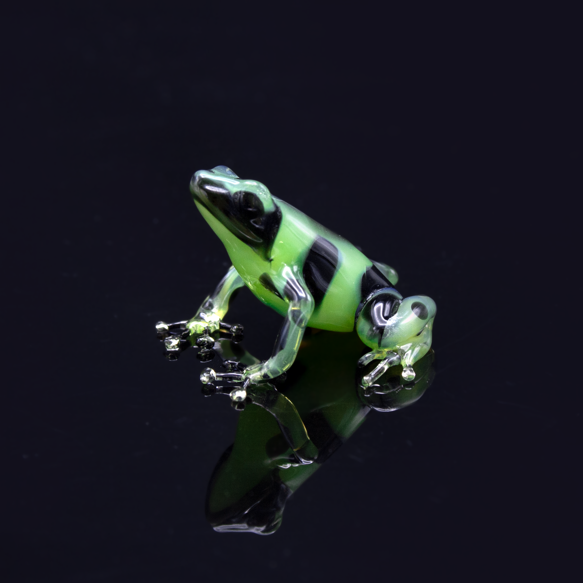 Green Poison Dart Frog