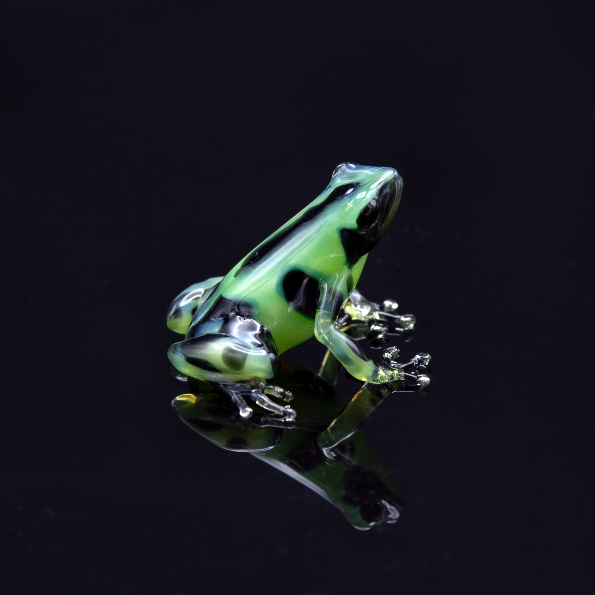 Green Poison Dart Frog