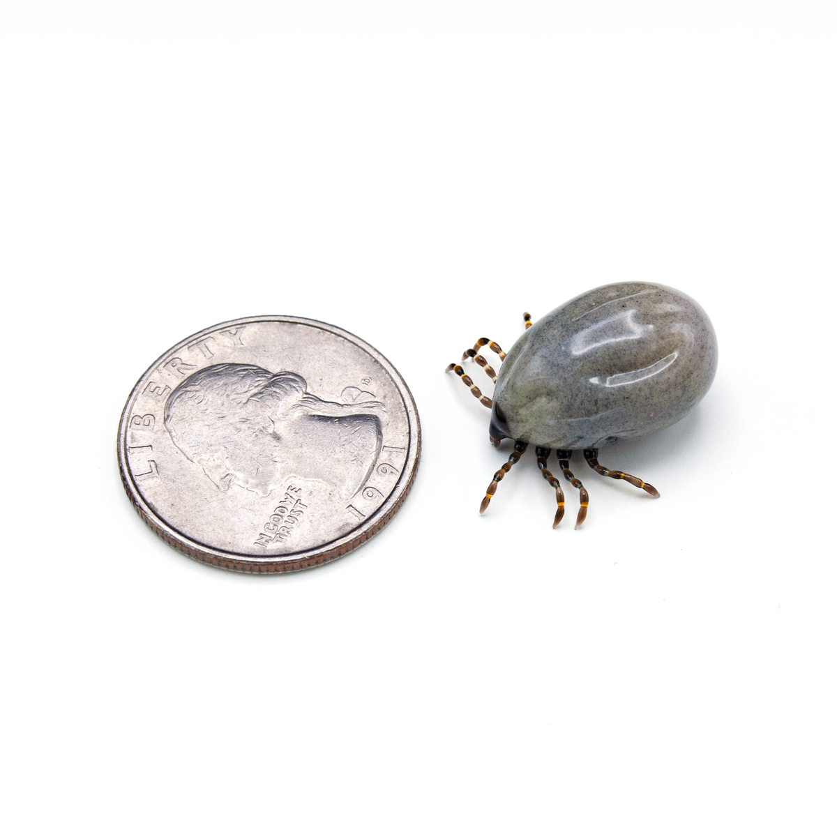 Very Hungry Tick