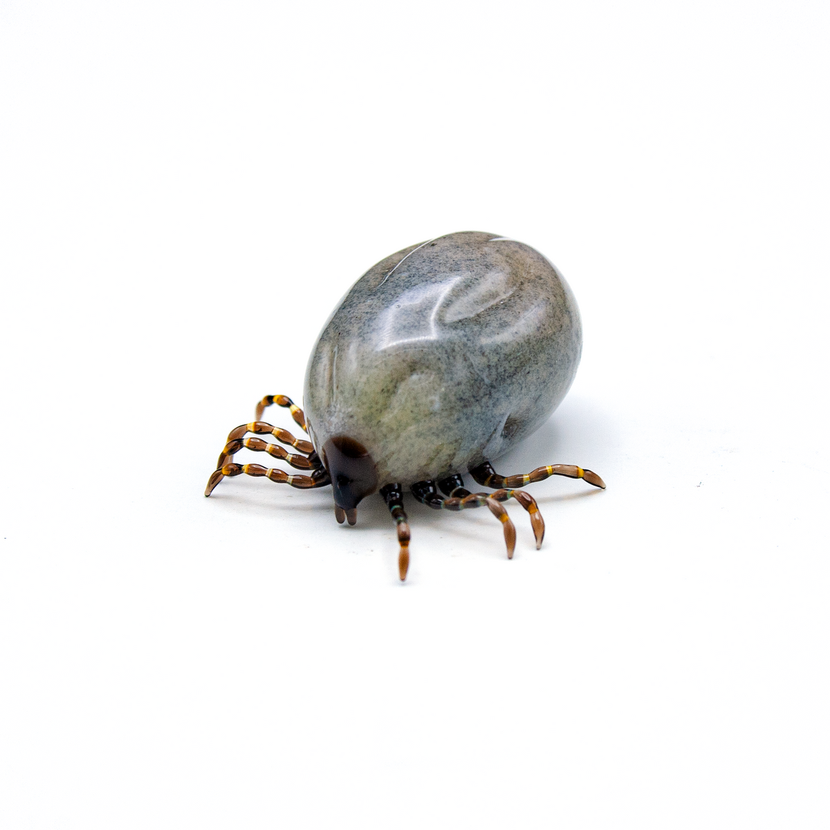 Very Hungry Tick