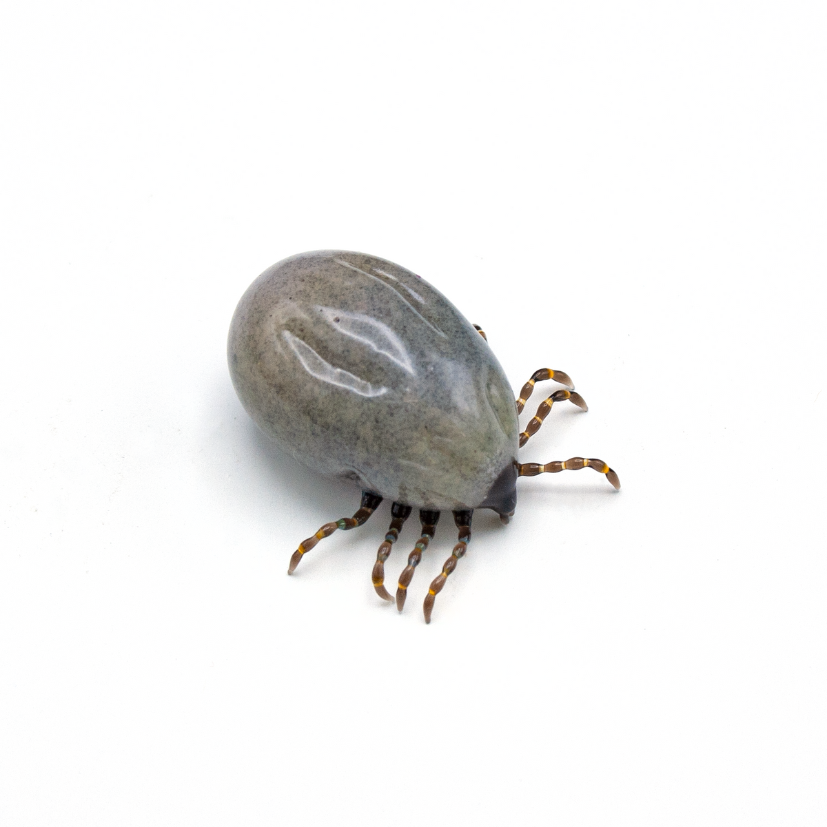 Very Hungry Tick