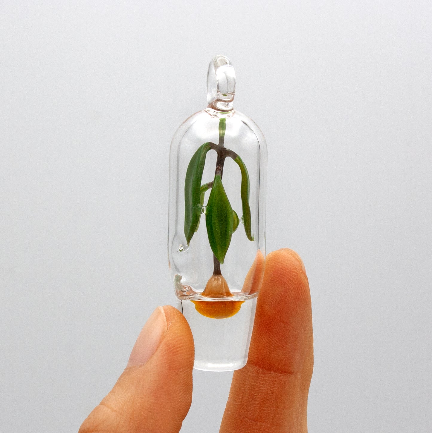 Sad Avocado Plant Pendant