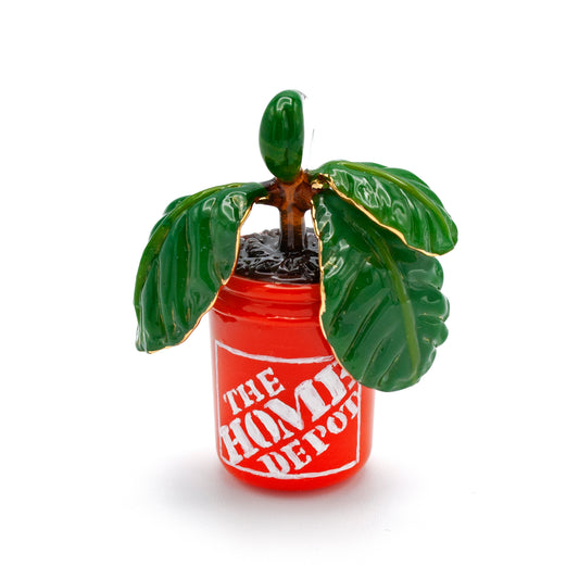 Fiddle Leaf Fig in a Home Depot Bucket