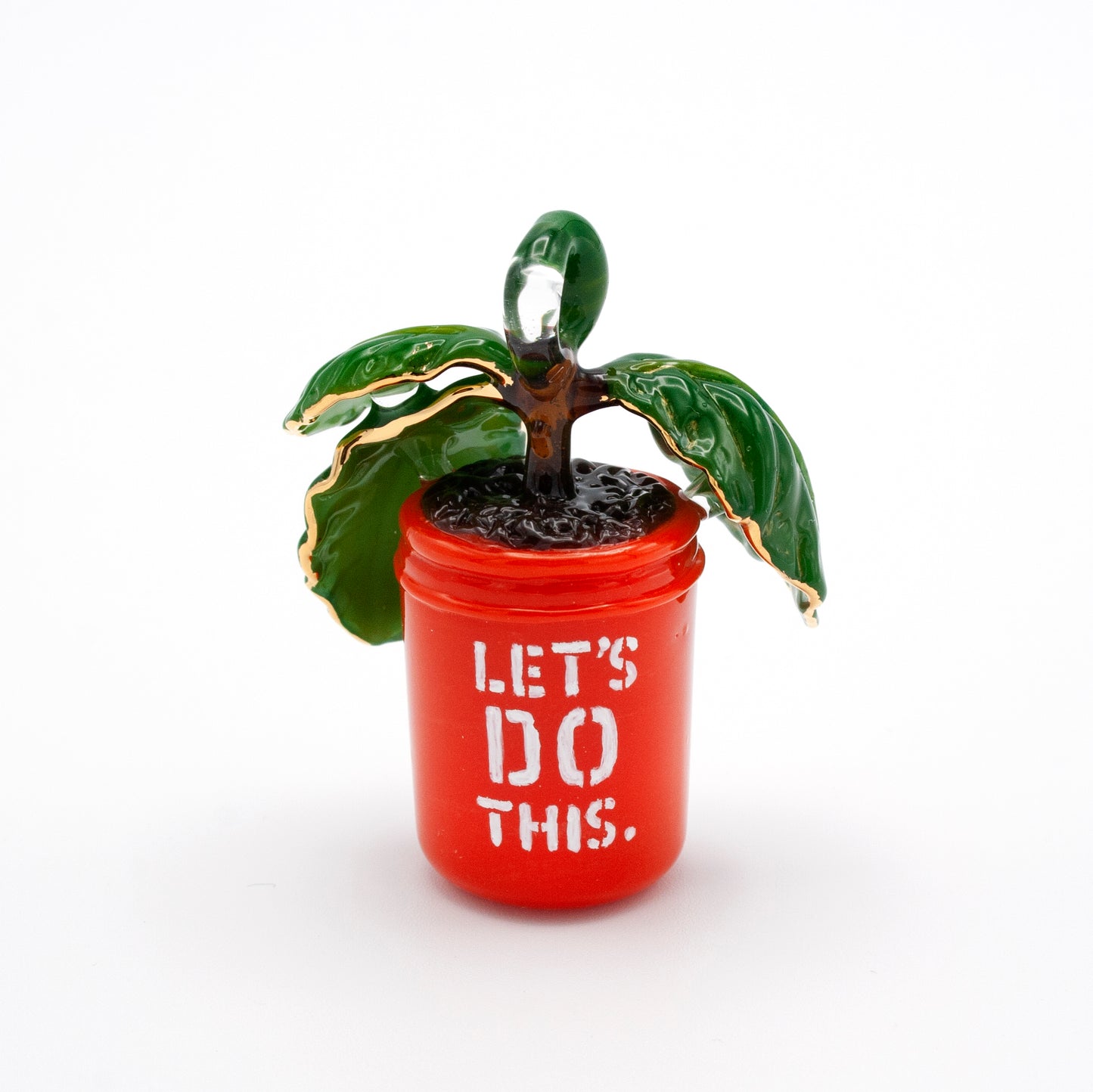 Fiddle Leaf Fig in a Home Depot Bucket