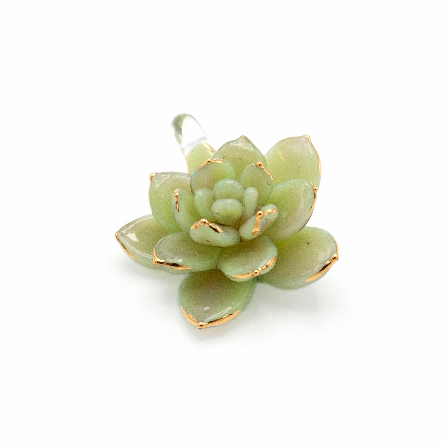 Mini Jade Succulent